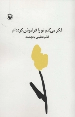 فکر می کنم تو را فراموش کرده ام