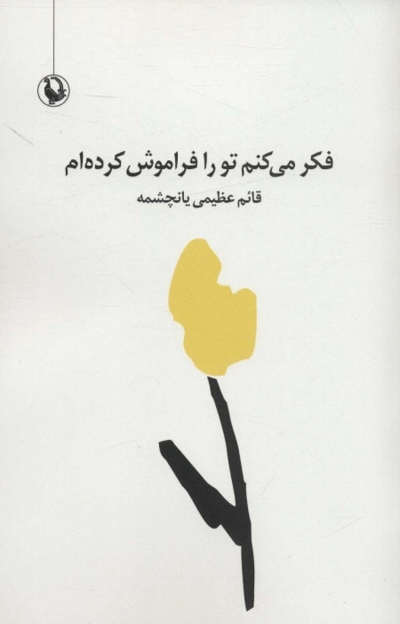 فکر می کنم تو را فراموش کرده ام