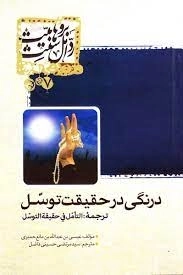 درنگی در حقیقت توسل