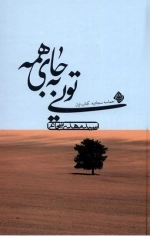 تویی به جای همه - حماسه سجادیه کتاب اول