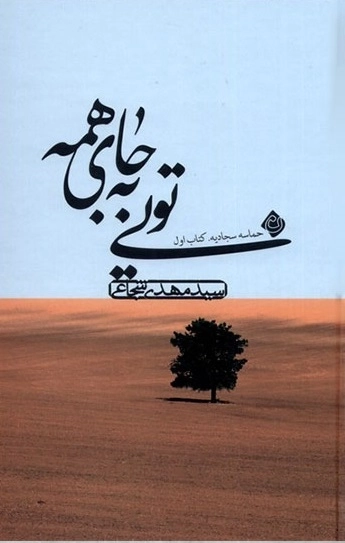 تویی به جای همه - حماسه سجادیه کتاب اول