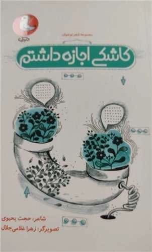 کاشکی اجازه داشتم