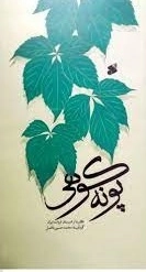 پونه کوهی