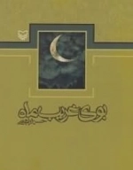 بوی غریب ماه
