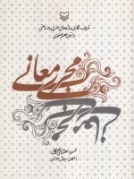 مجری معانی - تعریف نگاری واژه های هنری و صناعتی در متون عصر صفوی