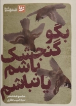 بگو گنجشک باشم یا نباشم - شعر شباب29