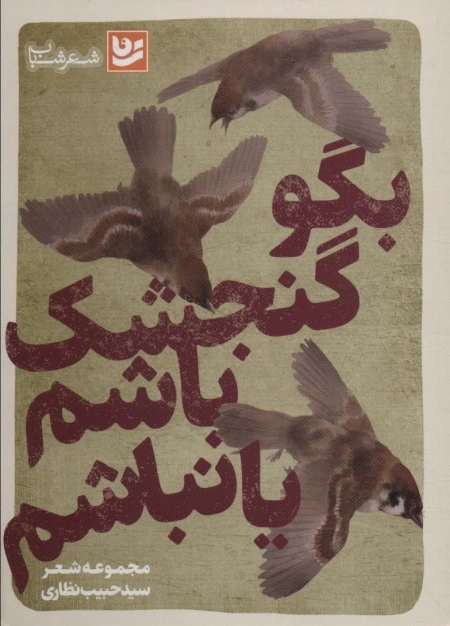 بگو گنجشک باشم یا نباشم - شعر شباب29