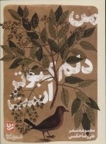 من دلم کبوتر است - شعر شباب33