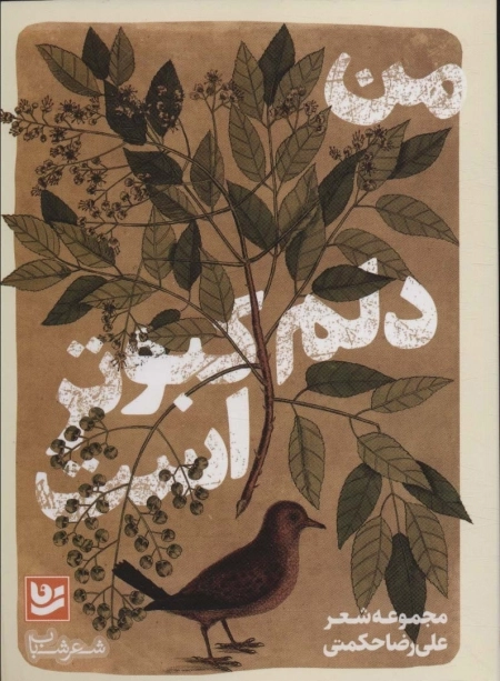 من دلم کبوتر است - شعر شباب33