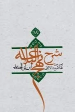 شرح نهج البلاغه جلد هجدهم