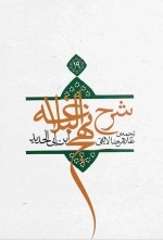 شرح نهج البلاغه جلد نوزدهم