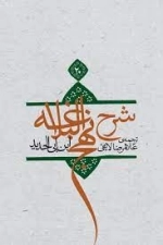 شرح نهج البلاغه جلد بیست