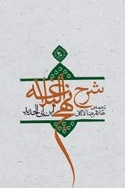 شرح نهج البلاغه جلد بیست