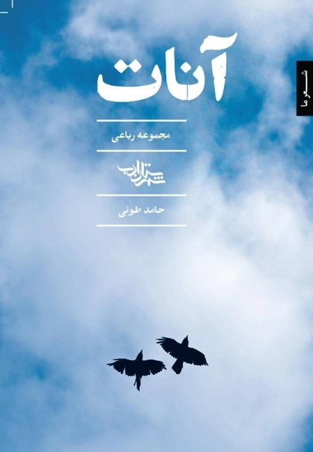 آنات مجموعه رباعی