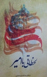 لحظاتی با امیر
