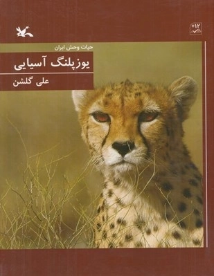 یوز پلنگ آسیایی