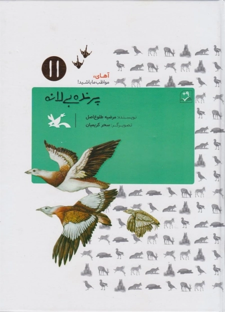 پرنده بی لانه 11