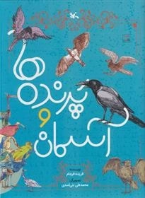 پرنده ها و آسمان لاتین