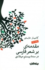 مقدمه ای بر شعر فارسی در سده 20 میلادی