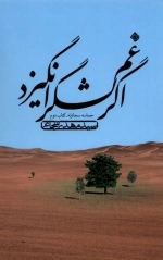 اگر غم لشکر انگیزد - حماسه سجادیه - کتاب دوم