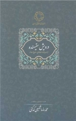 درویش ستیهنده - از میراث عرفانی شیخ جام
