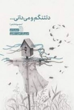دلتنگم و می دانی