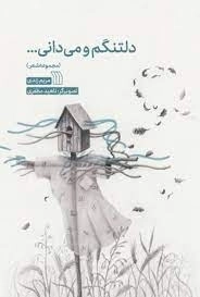 دلتنگم و می دانی