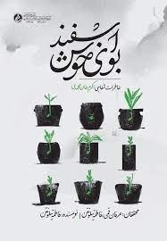 بوی خوش اسفند - خاطرات شفاهی اکرم خان محمدی