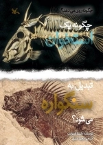 چگونه یک استخوان تبدیل به سنگواره می شود
