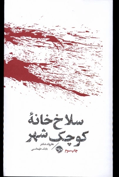 سلاخ خانه ی کوچک شهر