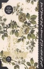 کوچه پس کوچه های کودکی