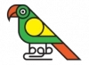 طوطی