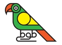 طوطی