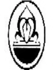 نبوی