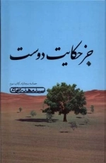 جز حکایت دوست - حماسه سجادیه کتاب سوم