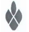 پنجره
