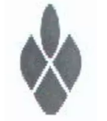پنجره