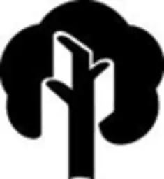 دامون