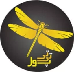 تی تی پول