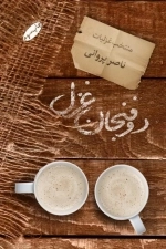 دو فنجان غزل