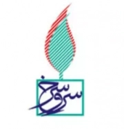 سرو سرخ
