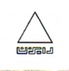 رایزن
