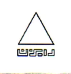 رایزن