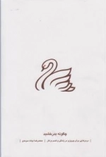 چگونه بدرخشید