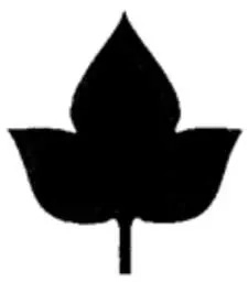 دارینوش