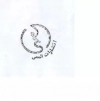 المعی