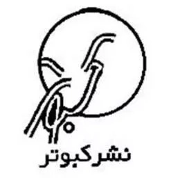 کبوتر