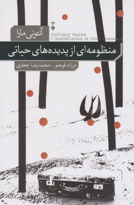 منظومه ای از پدیده های حیاتی