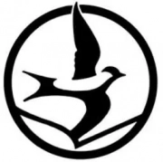 زرین