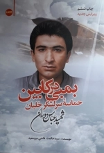 بمبی در کابین